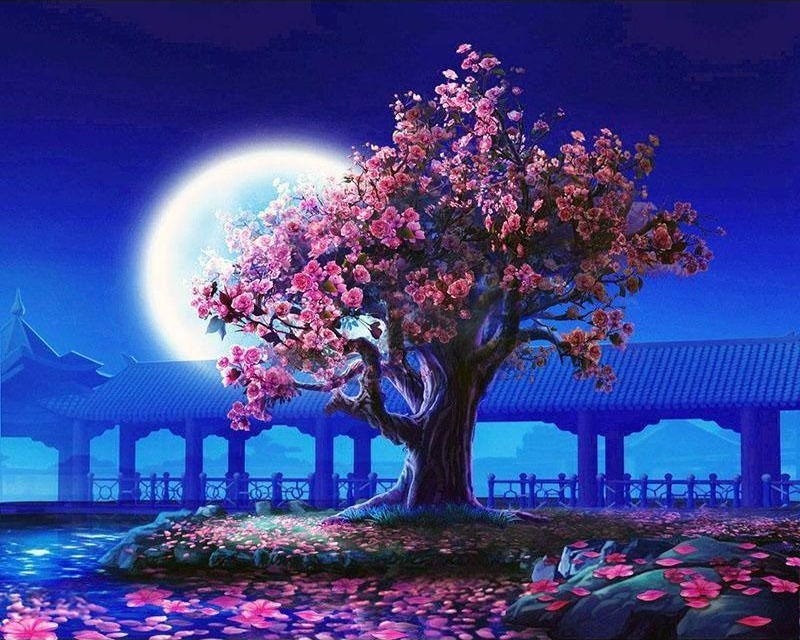 Romantic Moonlight paint by numbers kit