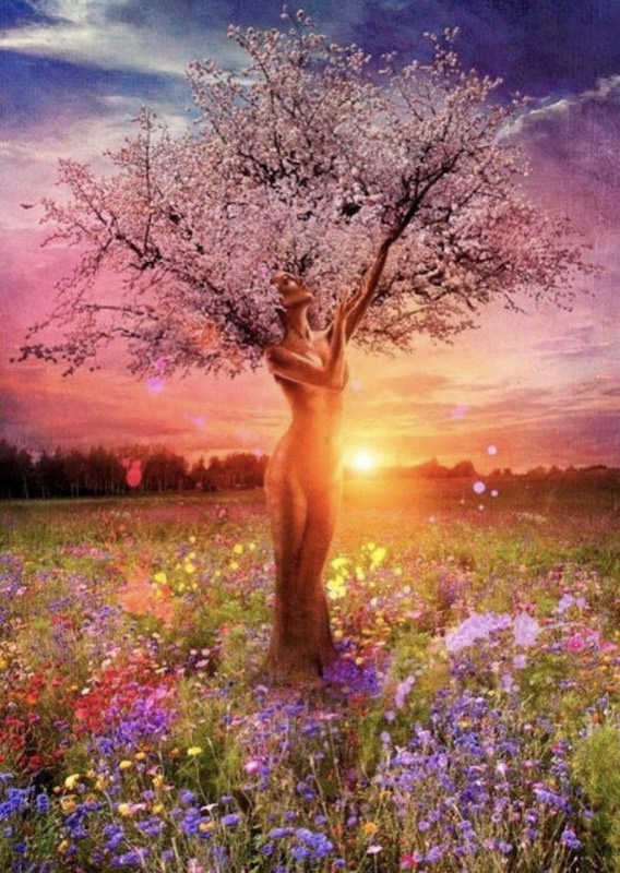 Tree Of Life paint by numbers kit