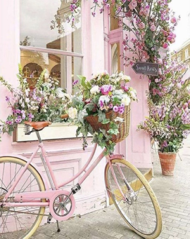 Floral Day Bike paint by numbers kit