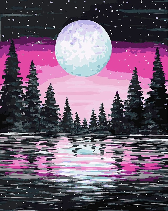 Moon Reflection paint by numbers kit