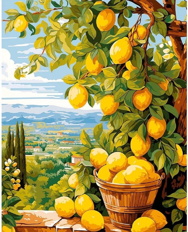 Lemon Haven paint by numbers kit